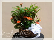 Planter with Live Plants and Fresh Cut Carnations