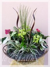 Orchidia - Orchids & Live Plants :: a Signature Floral Arrangement
