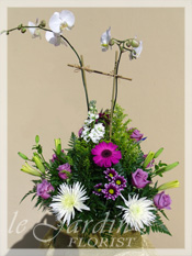 Orchids & Fresh Flowers :: a Signature Floral Arrangement