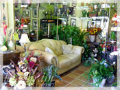 Your Trusted Local Palm Beach Gardens Flower Shop since 1986.