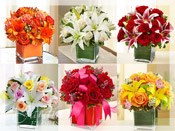 Colors of Love - Cube Flower Arrangement