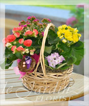 European Blooming Basket Arrangement