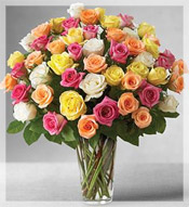 4 Dz Premium Long Stem Assorted Roses Arrangement