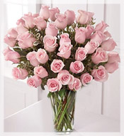 4 Dz Premium Long Stem Pink Roses Arrangement