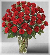 4 Dz Premium Long Stem Red Roses Arrangement