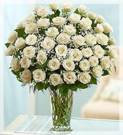 4 Dz Premium Long Stem White Roses Arrangement