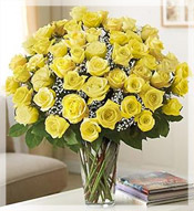 4 Dz Premium Long Stem Yellow Roses Arrangement