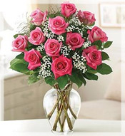 1 Dz Premium Long Stem Pink Roses Arrangement