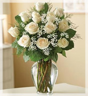 1 Dz Premium Long Stem White Roses Arrangement