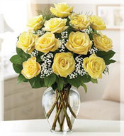1 Dz Premium Long Stem Yellow Roses Arrangement