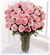 3 Dz Premium Long Stem Pink Roses Arrangement