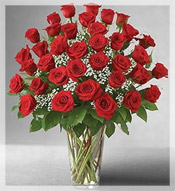 3 Dz Premium Long Stem Red Roses Arrangement