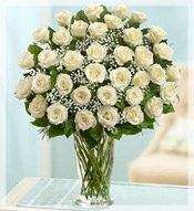 3 Dz Premium Long Stem White Roses Arrangement