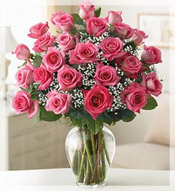 2 Dz Premium Long Stem Pink Roses Arrangement