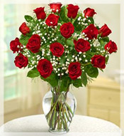 2 Dz Premium Long Stem Red Roses Arrangement