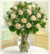 2 Dz Premium Long Stem White Roses Arrangement