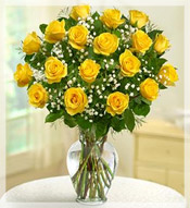 2 Dz Premium Long Stem Yellow Roses Arrangement